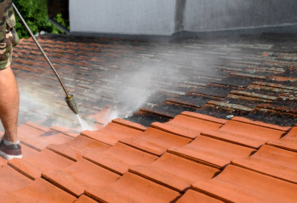 Best Best Pressure Washing Companies  in Kingsford, MI